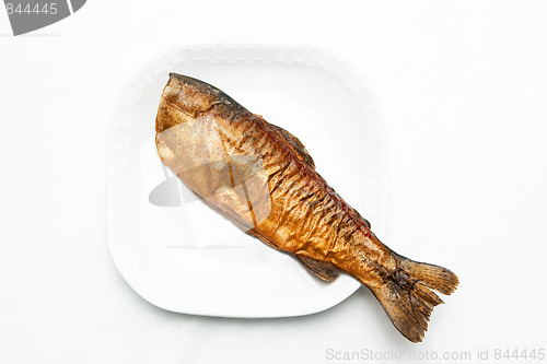 Image of Fish