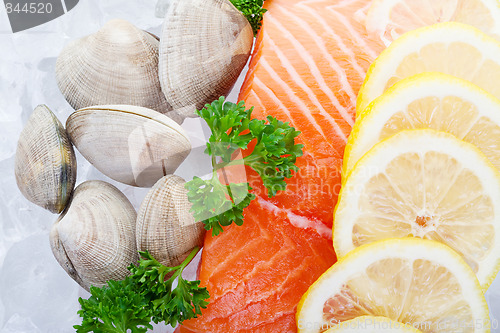 Image of Salmon fillets