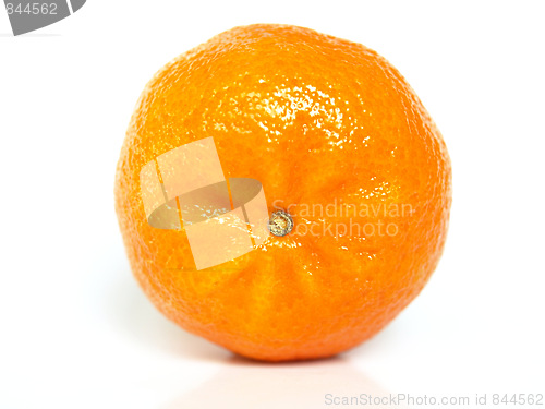 Image of Tangerine