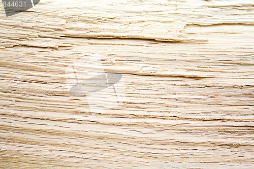 Image of Sliced oak background