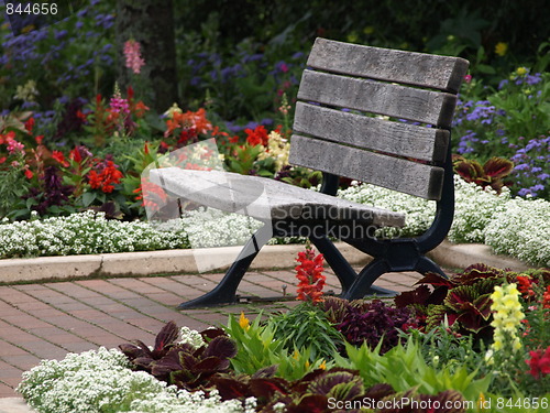 Image of A summer bench.