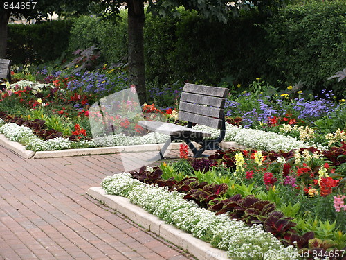 Image of A summer bench.