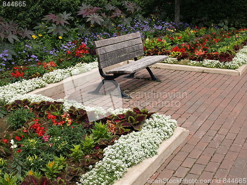 Image of A summer bench.
