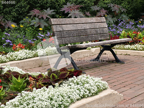 Image of A summer bench.