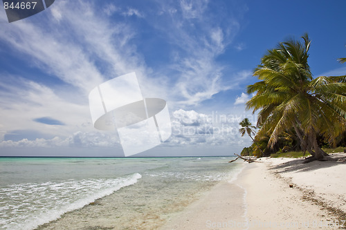 Image of Tropical Beach