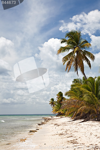 Image of Tropical Beach