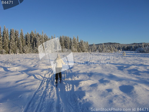 Image of Skiing Norway