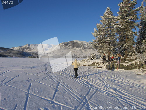 Image of Skiing Norway