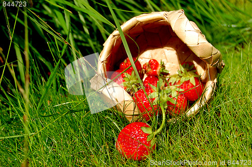 Image of basket of strawberries in the grass