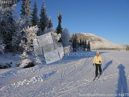 Image of Skiing Norway
