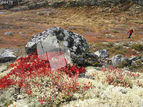 Image of Hiking Norway