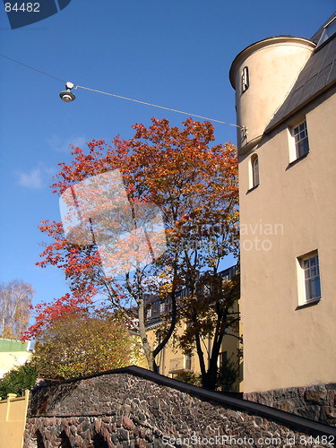 Image of House and fall tree