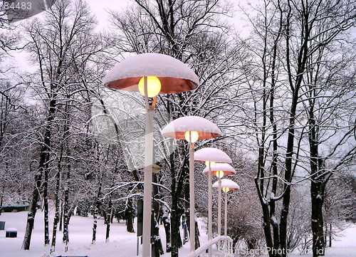 Image of Lanterns under a snow in the park