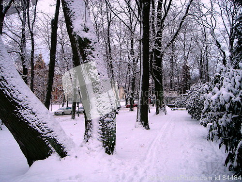 Image of Winter in city park