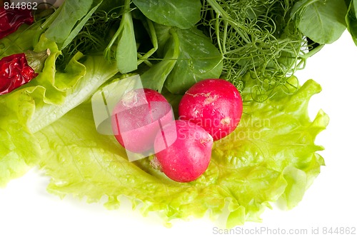 Image of Vegetables