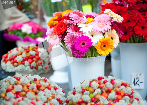 Image of Gerberas