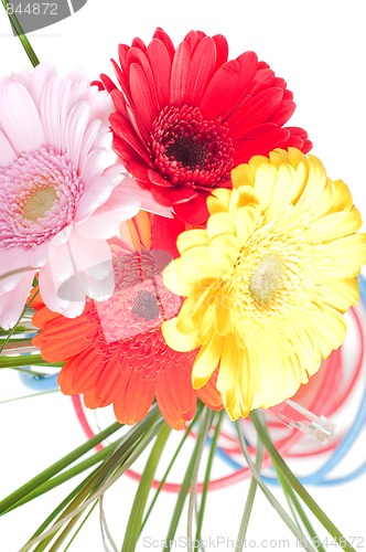 Image of Wires and flowers concepts