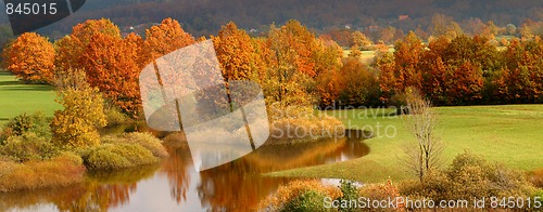 Image of Autumn coloured trees