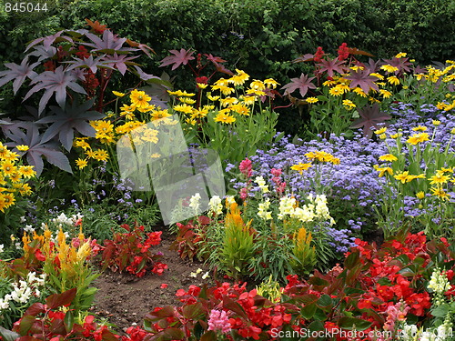 Image of A flower garden.