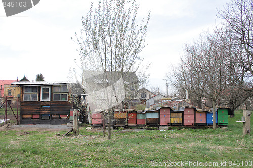 Image of czech bee farm 