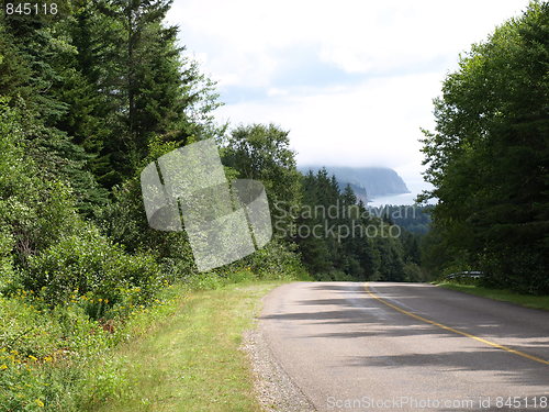 Image of Nature.