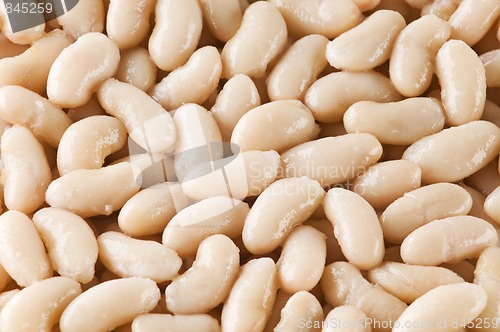 Image of Beans