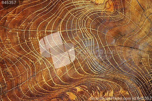 Image of Wood structure