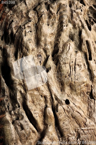 Image of Stump structure