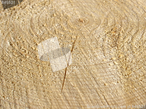 Image of Wood rings