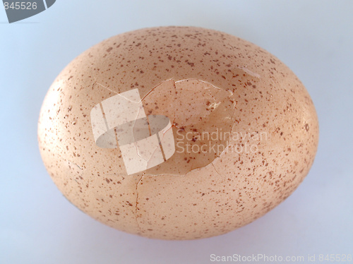 Image of Cracked egg