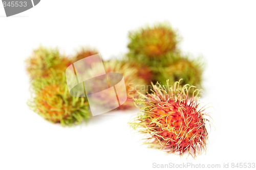 Image of exotic Thai fruit Rambutan or Ngo