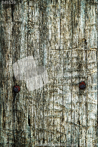 Image of Abstract texture an old dry cracked wood