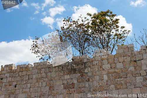 Image of Trees above ancient stone wall of Old City of Jerusalem