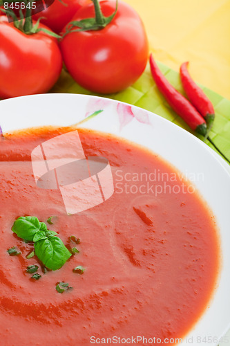 Image of Tomato Soup