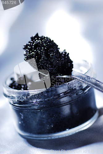 Image of Black caviar