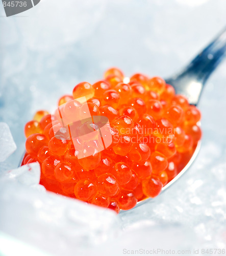 Image of Red caviar 