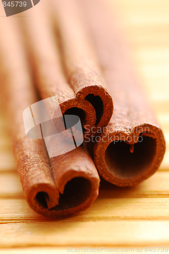 Image of cinnamon sticks