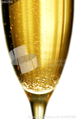 Image of champagne glass