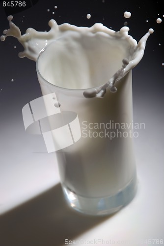 Image of Milk splash