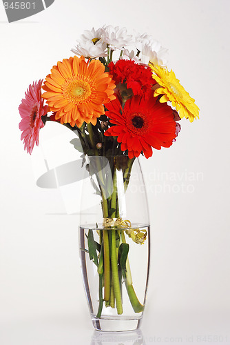 Image of spring flowers