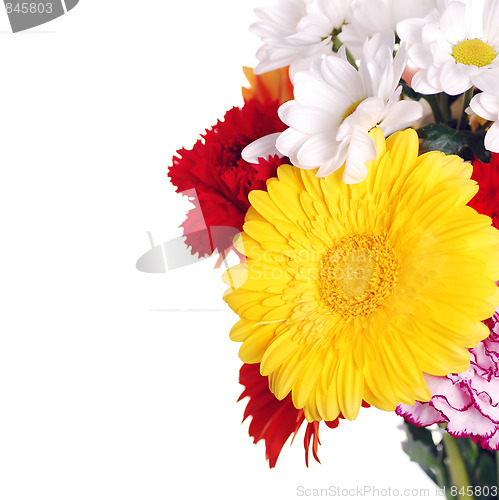 Image of spring flowers