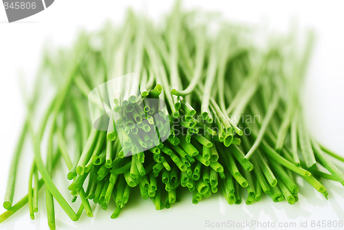 Image of A bunch of fresh chives