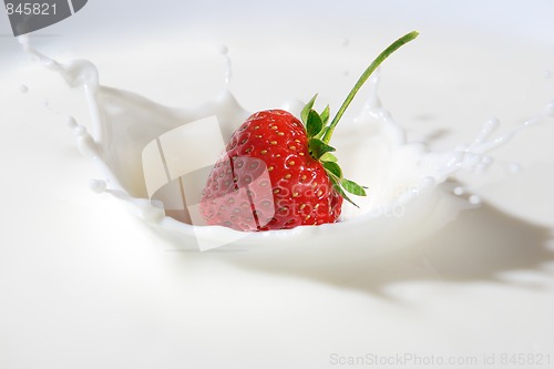 Image of Delicious strawberry splashing into milk