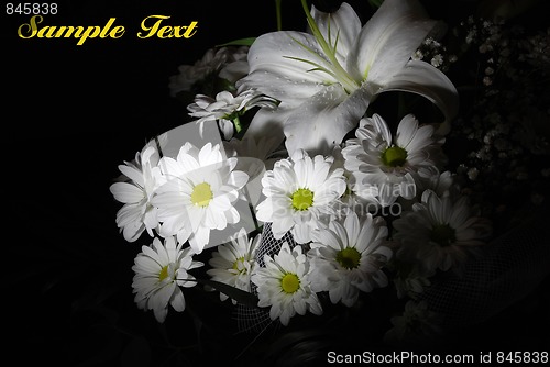 Image of Beautiful white flowers