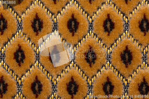 Image of Chair background