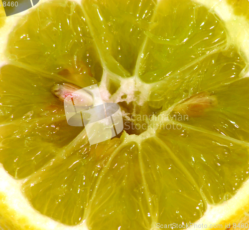 Image of A lemon slice