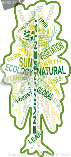Image of tree from the words