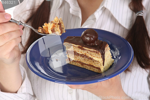 Image of piece of cake with chocolate