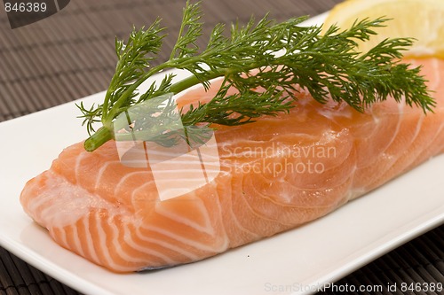 Image of salmon