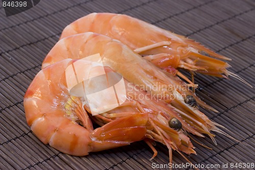 Image of shrimps